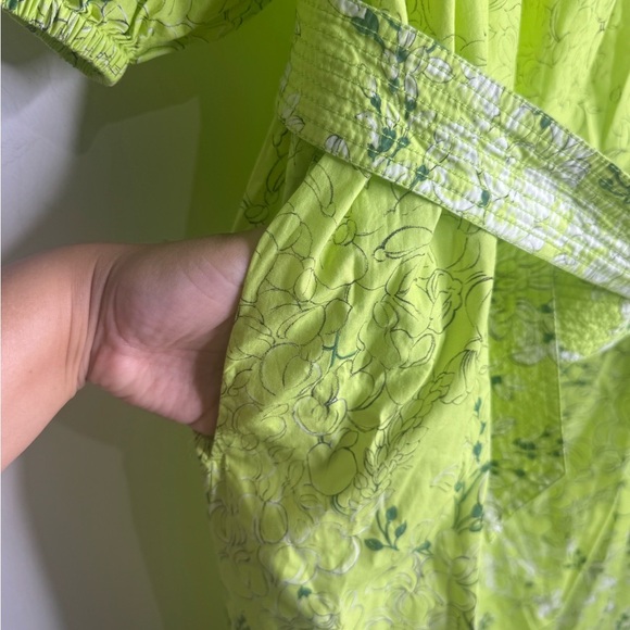 Ann Mashburn Floral Nicolette Dress- Lime - Picture 13 of 13